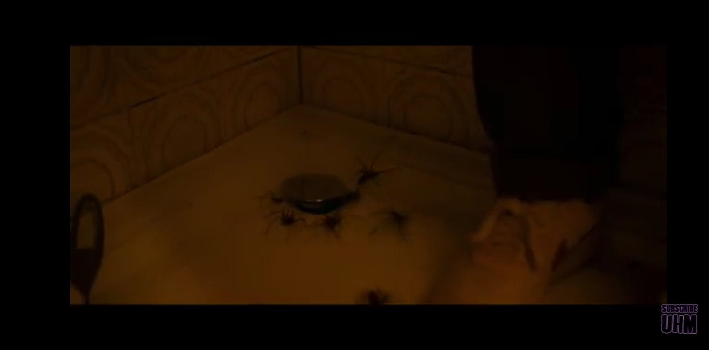 DVD : Infested l'invasion des insectes