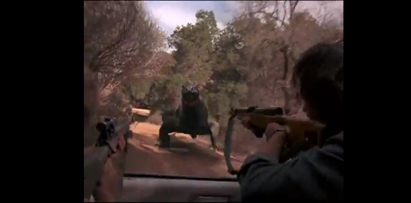 DVD l'île des komodos