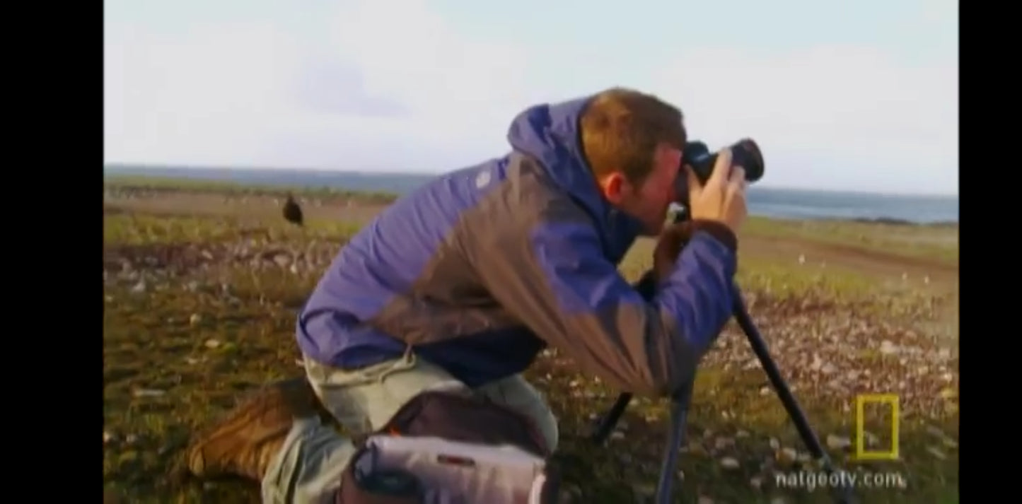 DVD National Geographic les cameramen de l'impossible