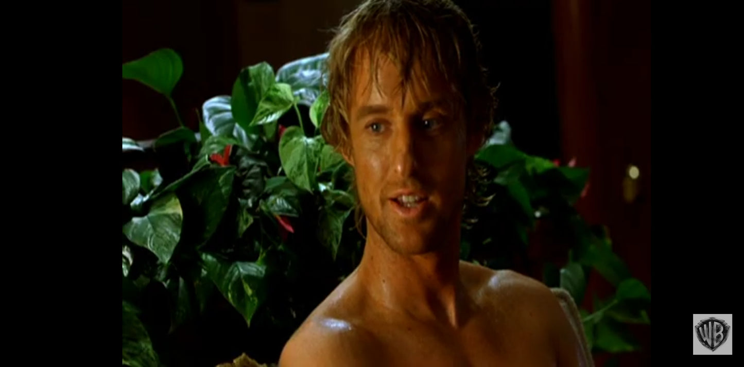 DVD : The big bounce