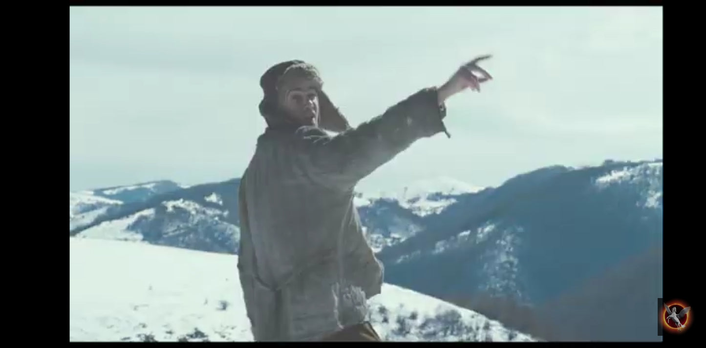 DVD les chemins de la liberté