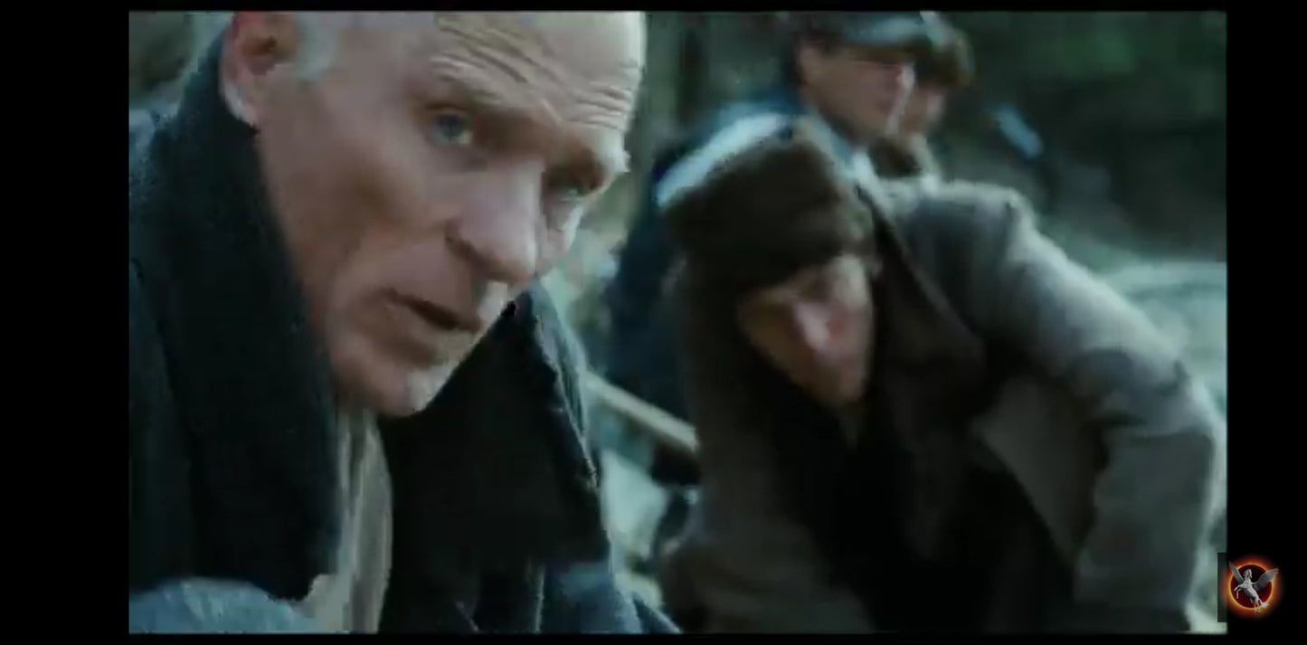 DVD les chemins de la liberté