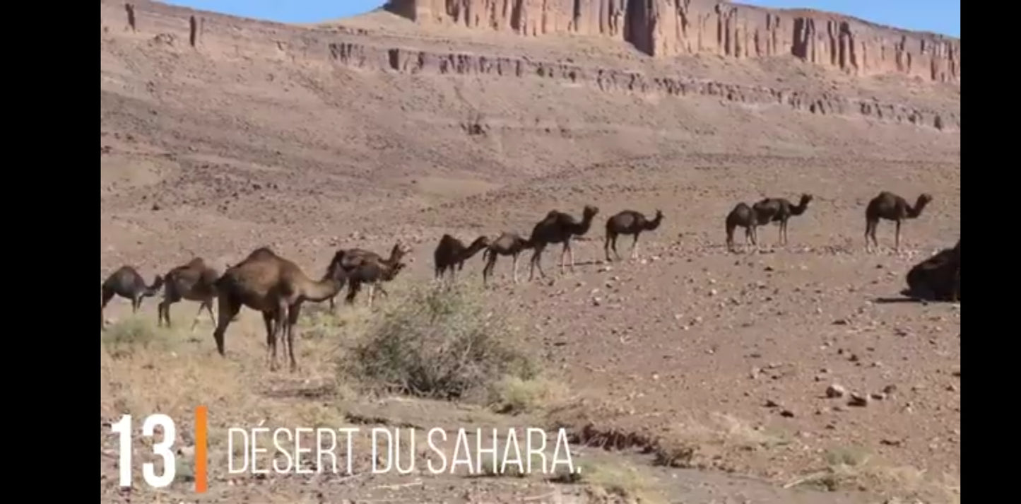 DVD les merveilles de l'homme destinations incontournables