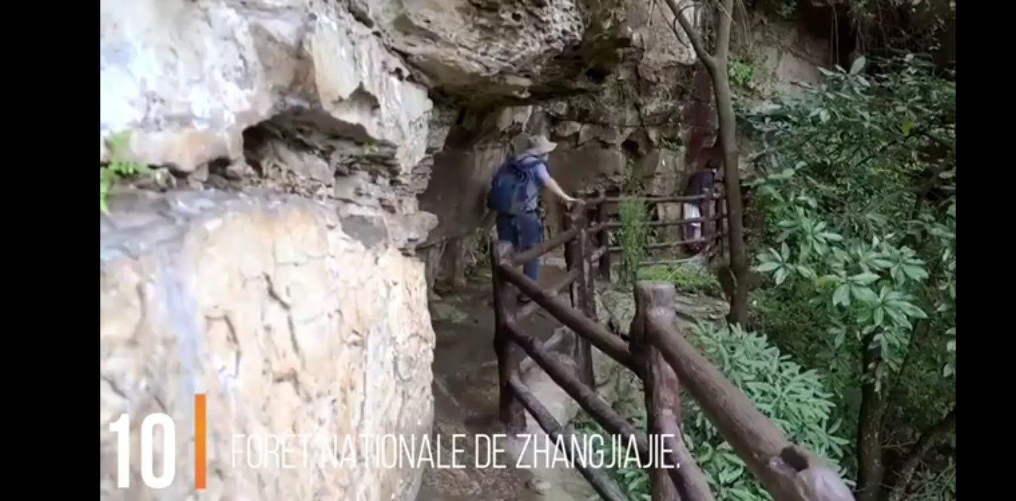 DVD les merveilles de l'homme destinations incontournables