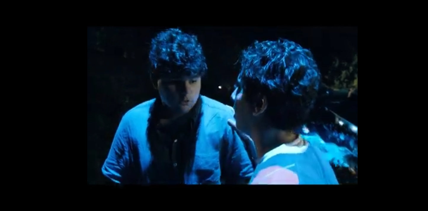 DVD Very Bad Trip projet x