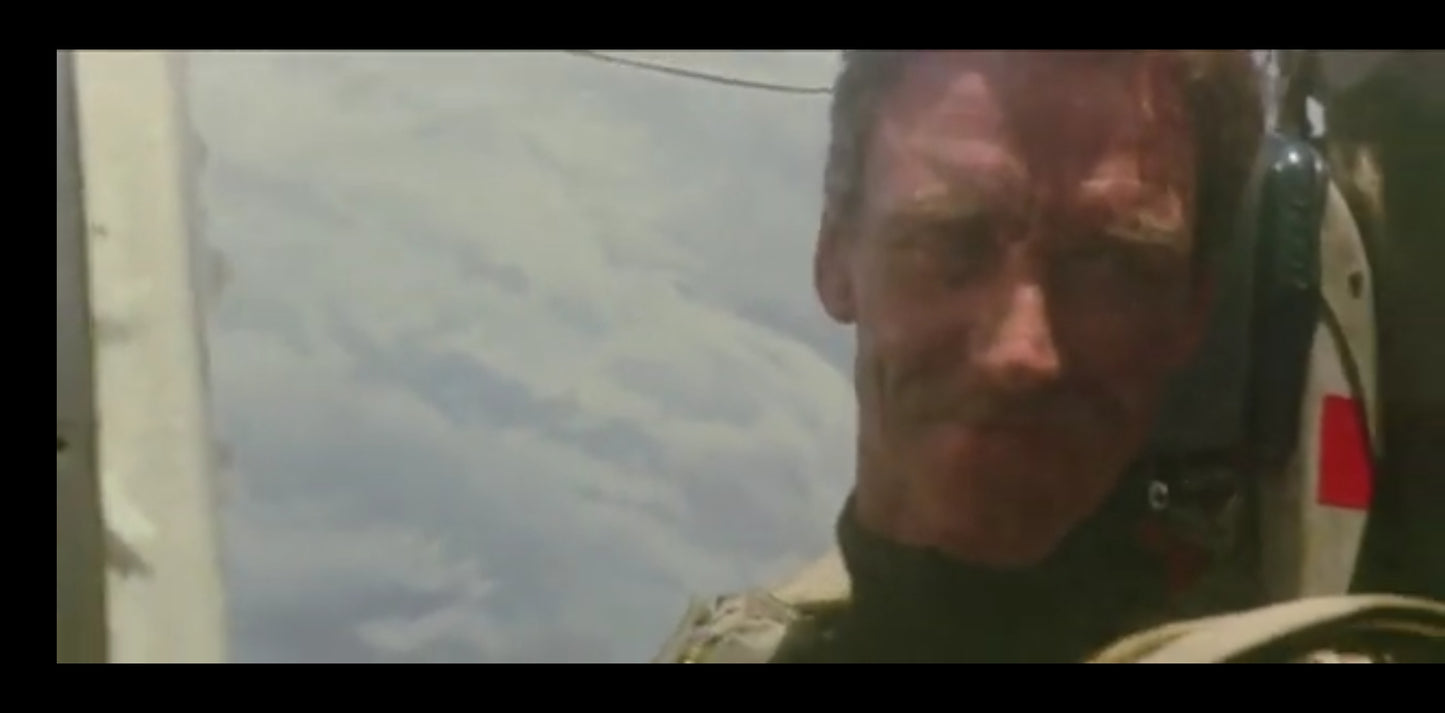 DVD : Les Aventures du Cobra d'or