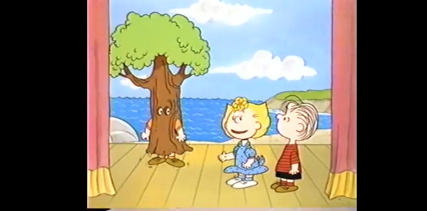 DVD snoopy et les peanuts