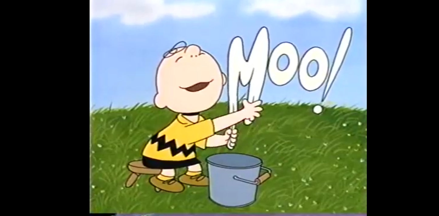 DVD snoopy et les peanuts