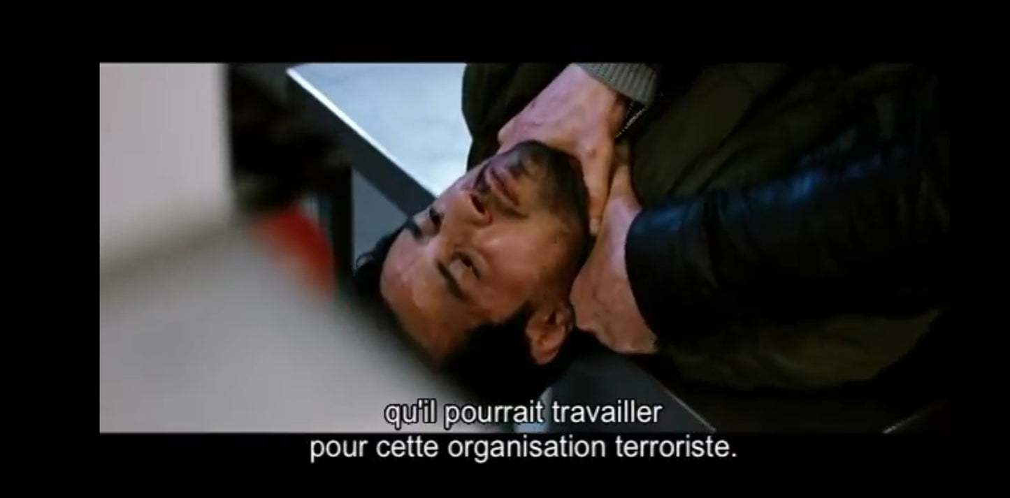 DVD SEAN Bean menace d'état