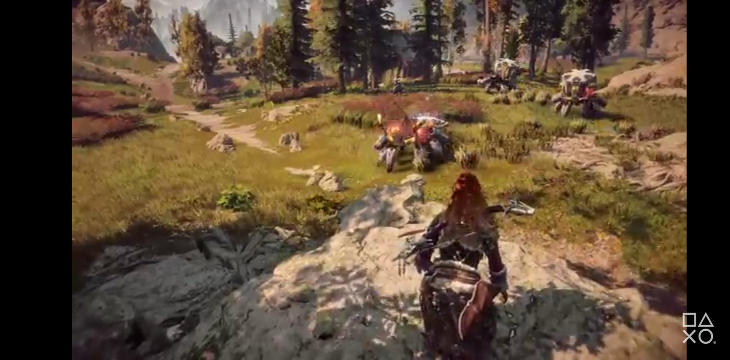 Jeu vidéo PS4 : horizon zero dawn