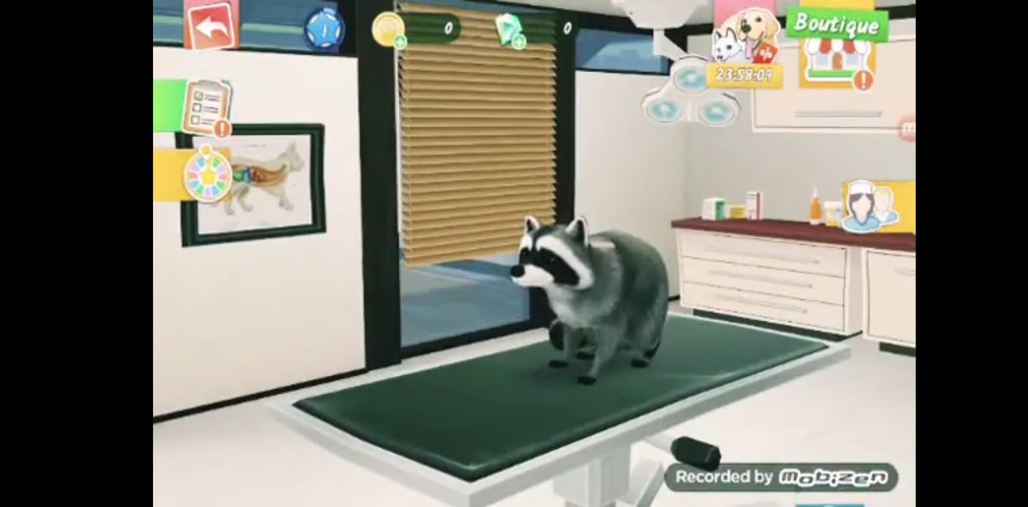 Jeu vidéo PC : nos amis les animaux l'hôpital des animaux jeu PC
