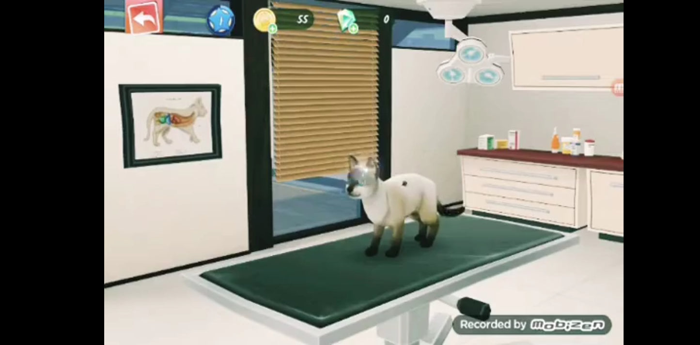 Jeu vidéo PC : nos amis les animaux l'hôpital des animaux jeu PC