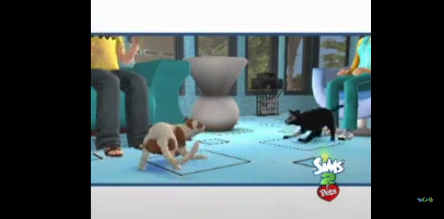 Jeu vidéo PC : les Sims 2 animaux et Cie