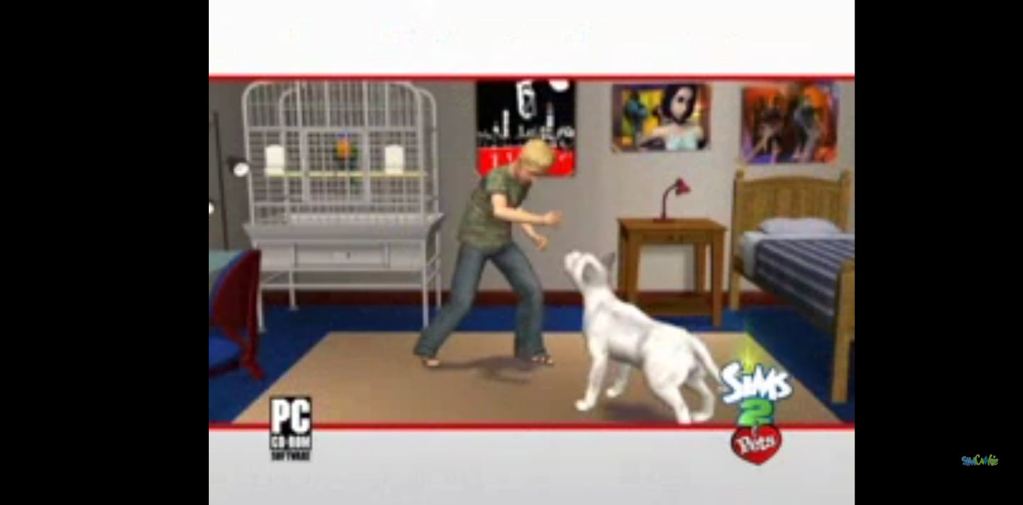 Jeu vidéo PC : les Sims 2 animaux et Cie