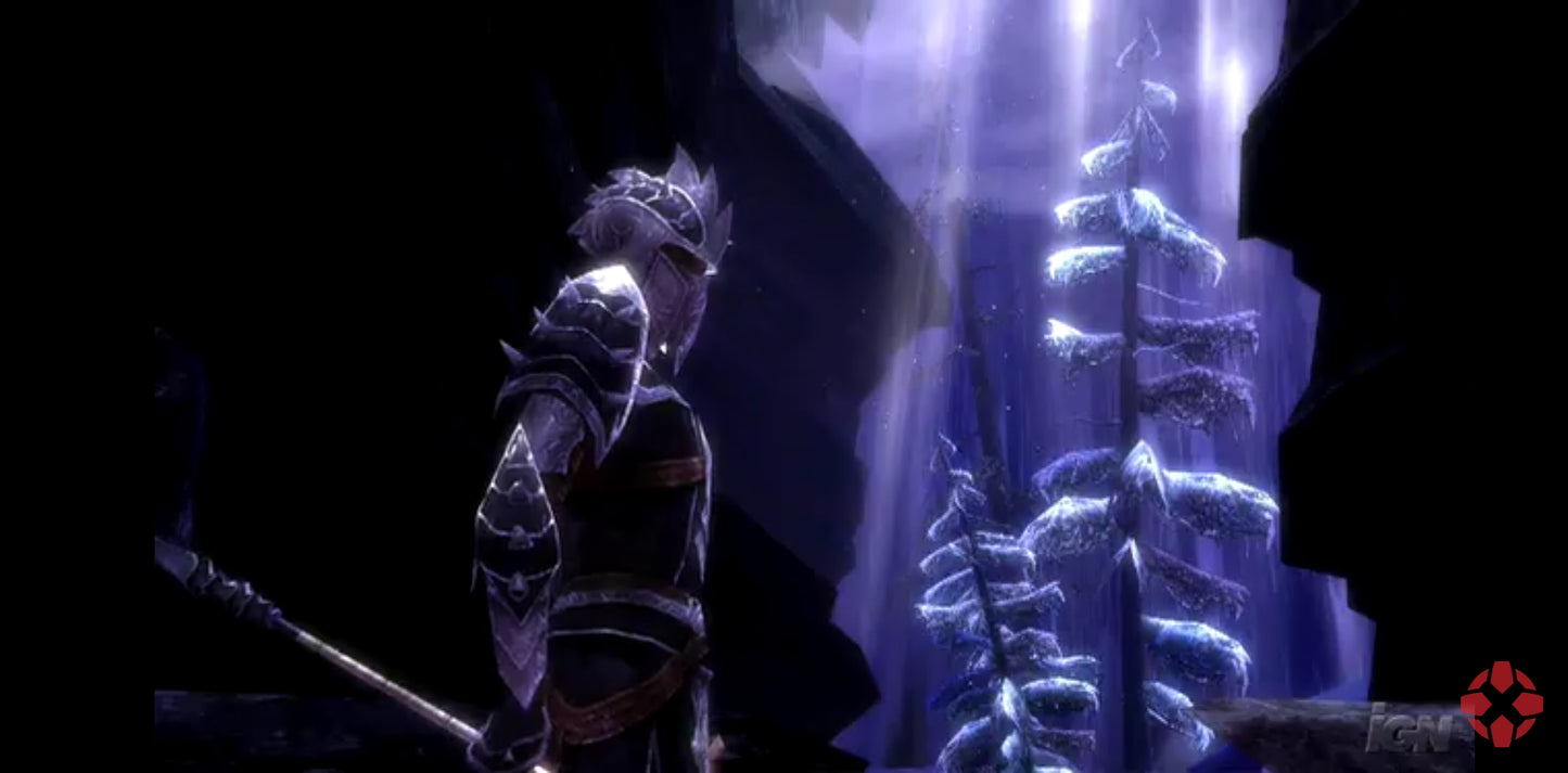 Jeu vidéo PC : Guild Wars