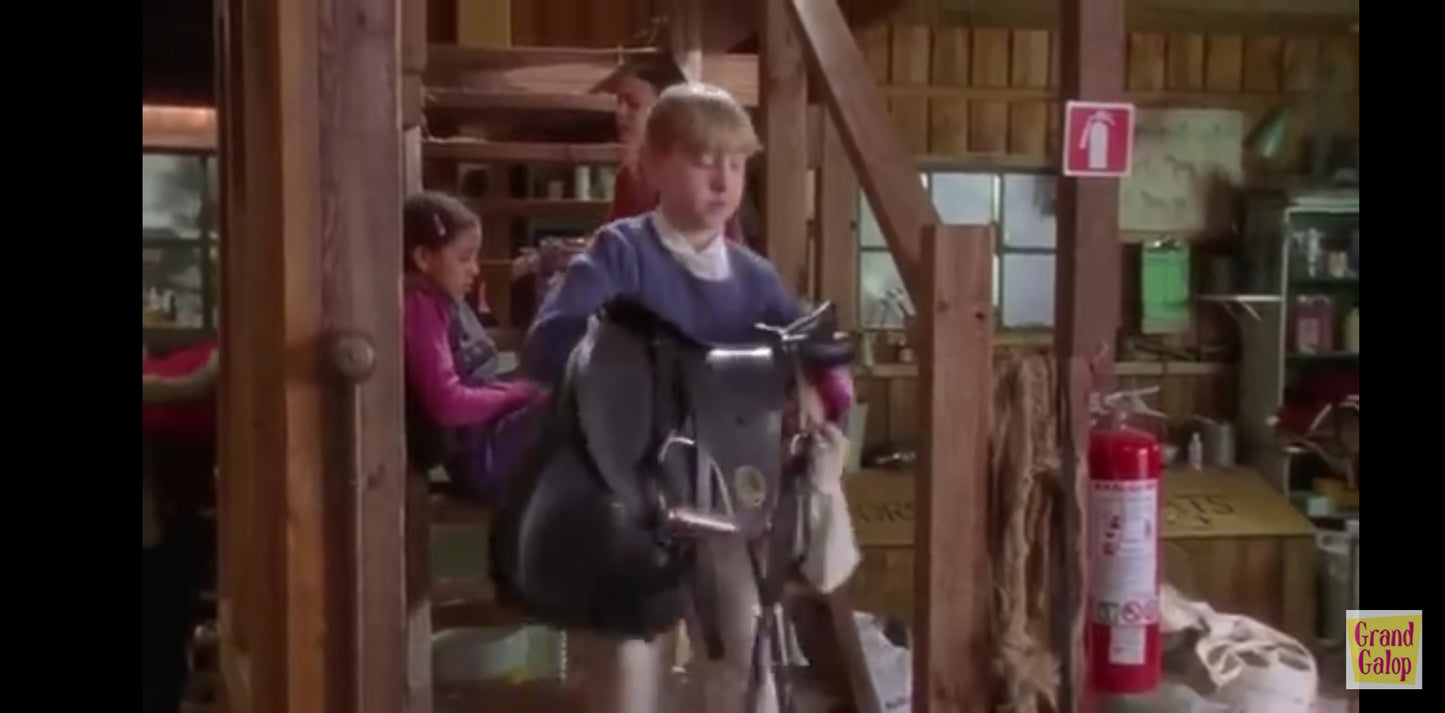 DVD grand galop saison 1 Partie 2