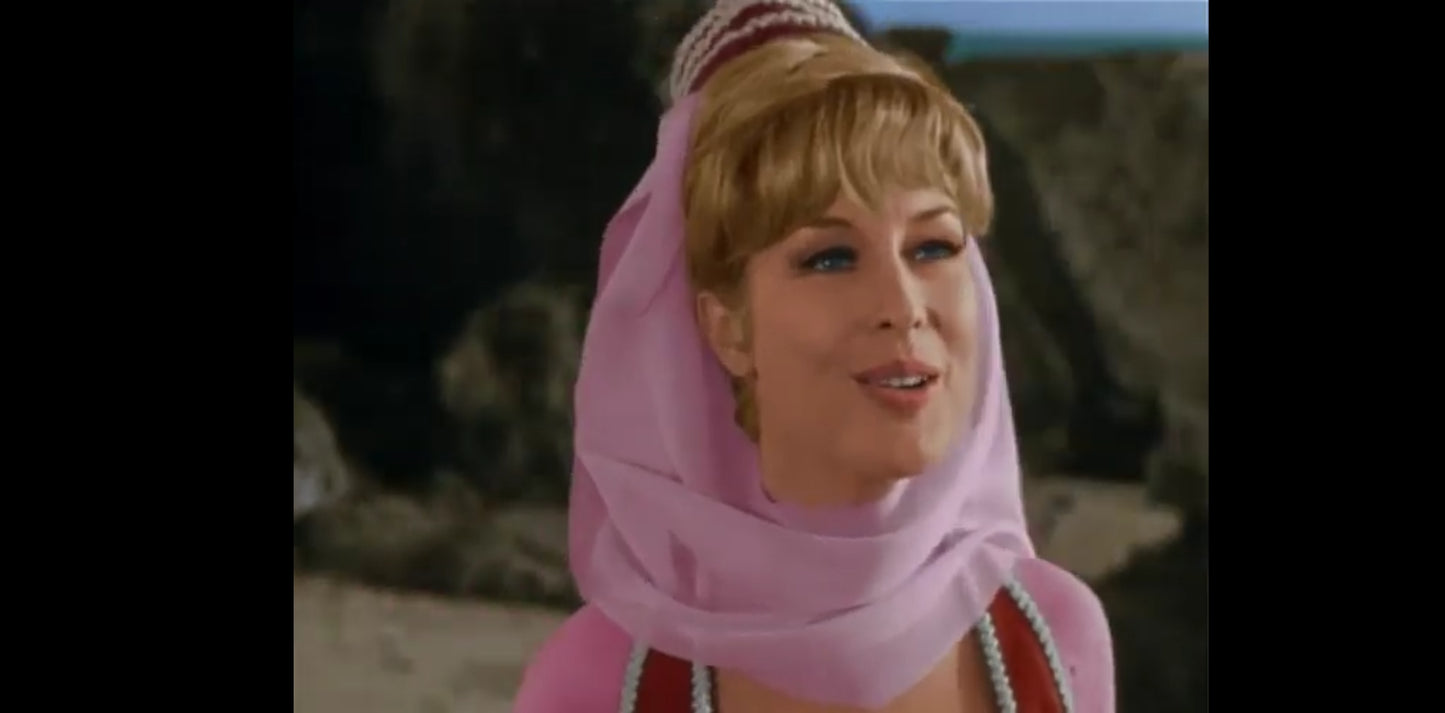 DVD I dream of Jeannie