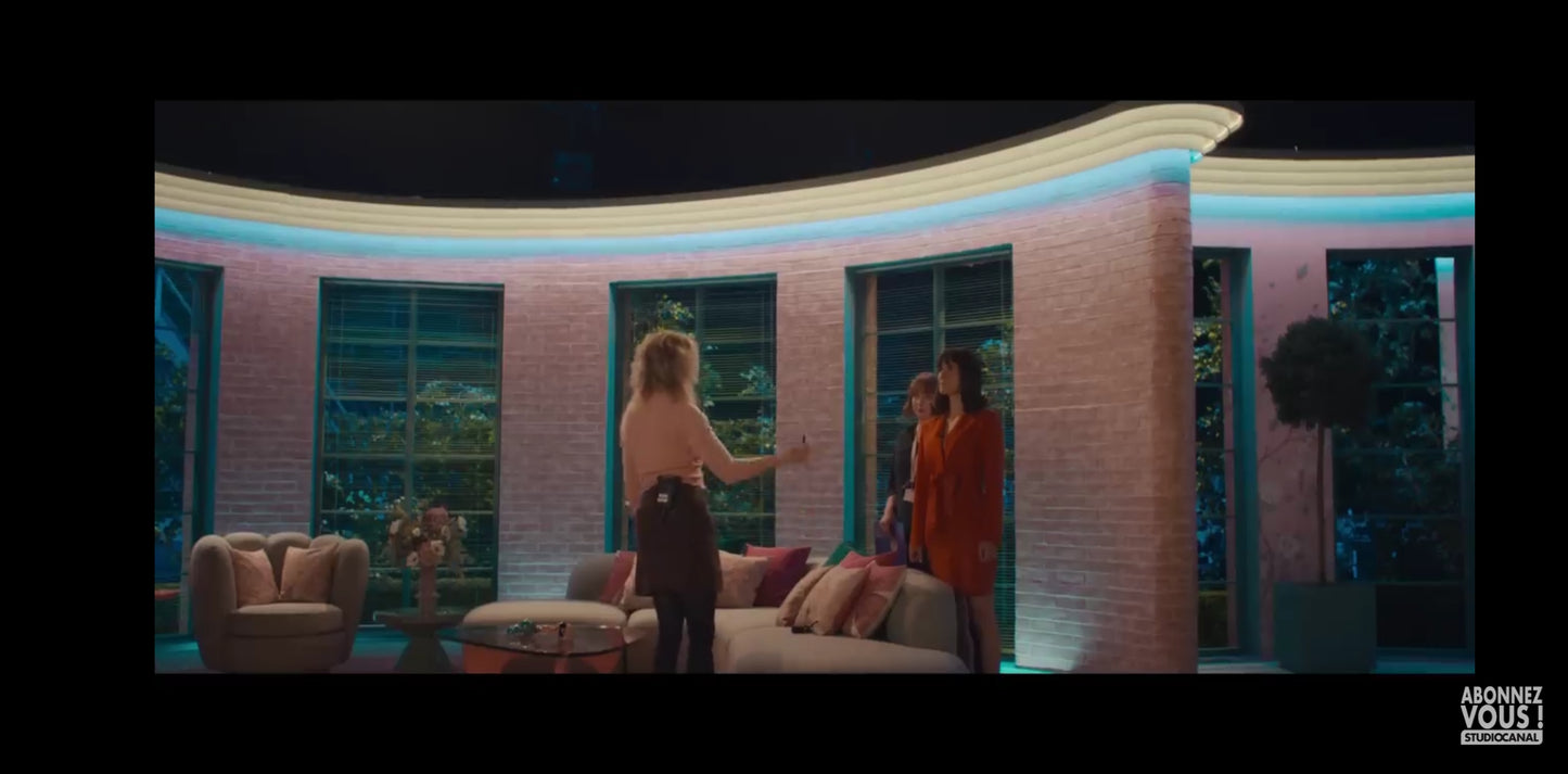 DVD le journal de Bridget Jones