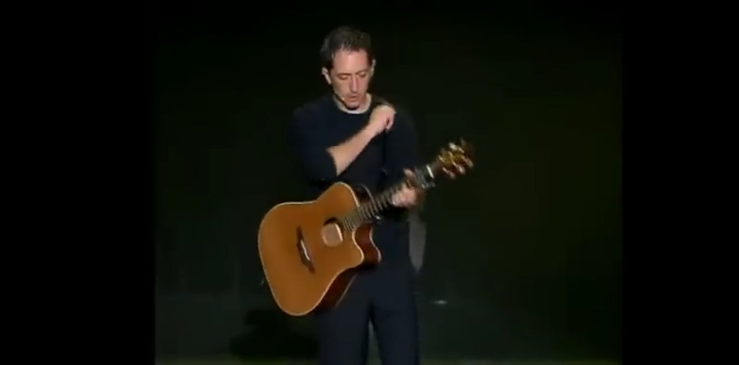 DVD Gad Elmaleh l'autre c'est moi