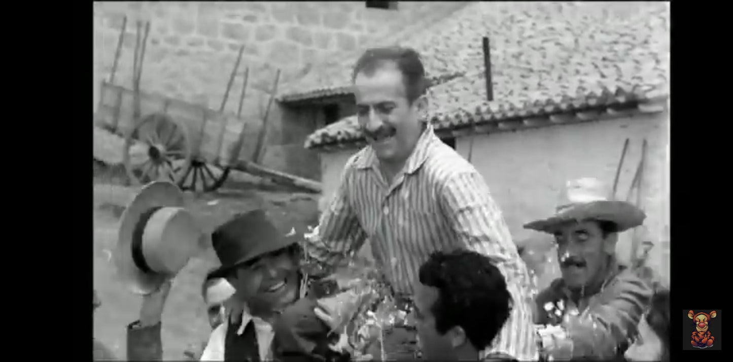 DVD irresistible Louis de funès monsieur Taxi