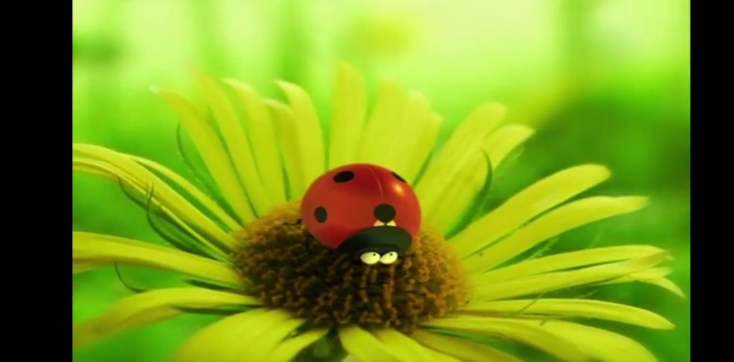 DVD minuscule la vie privée des insectes