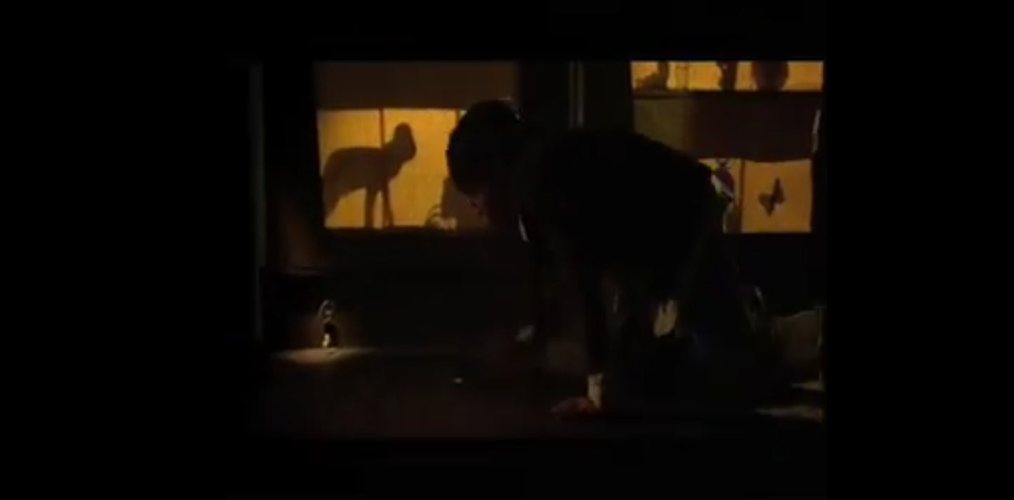 DVD pocket collection Nicolas Bary before neuf