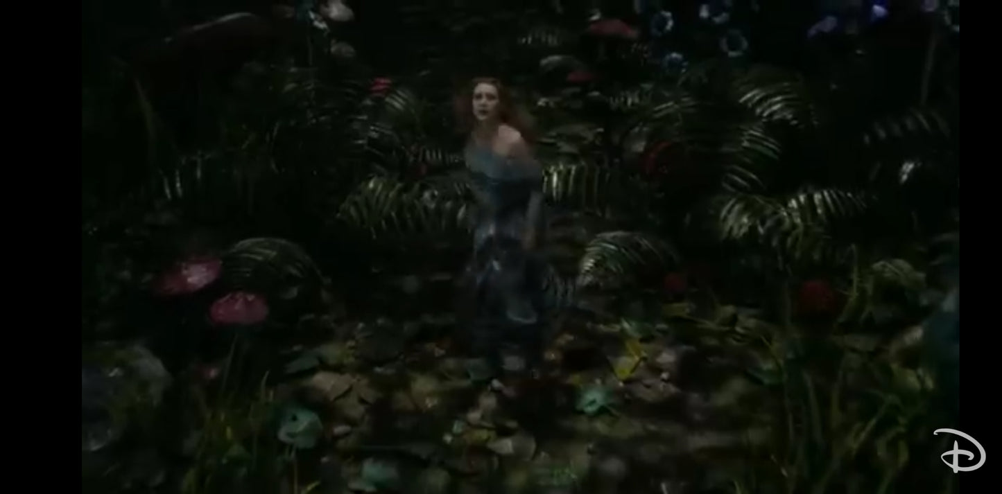 DVD Johnny depp Disney Alice au pays des merveilles