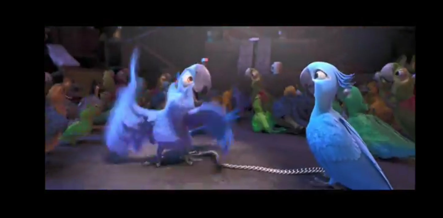 DVD par le créateurs de L’Âge de Glace Rio