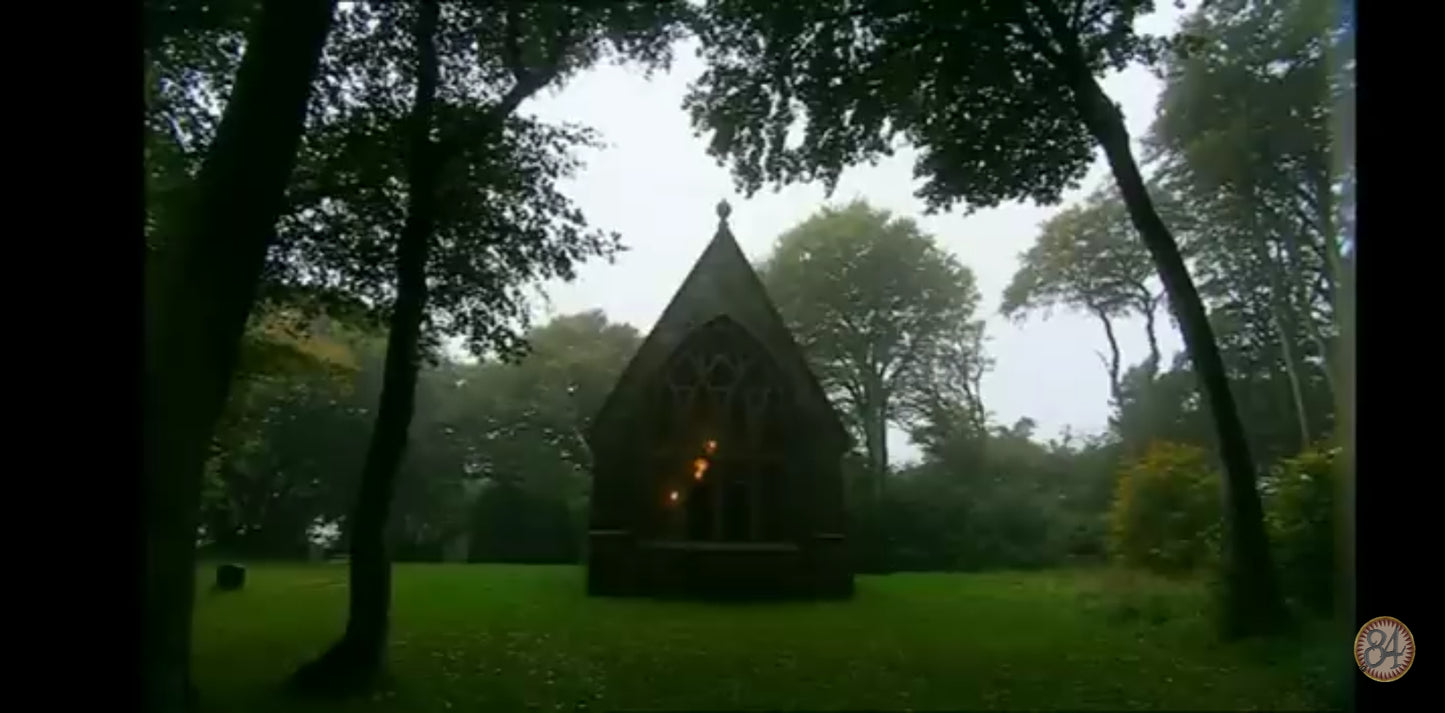 DVD A la découverte du vrai monde de Harry Potter