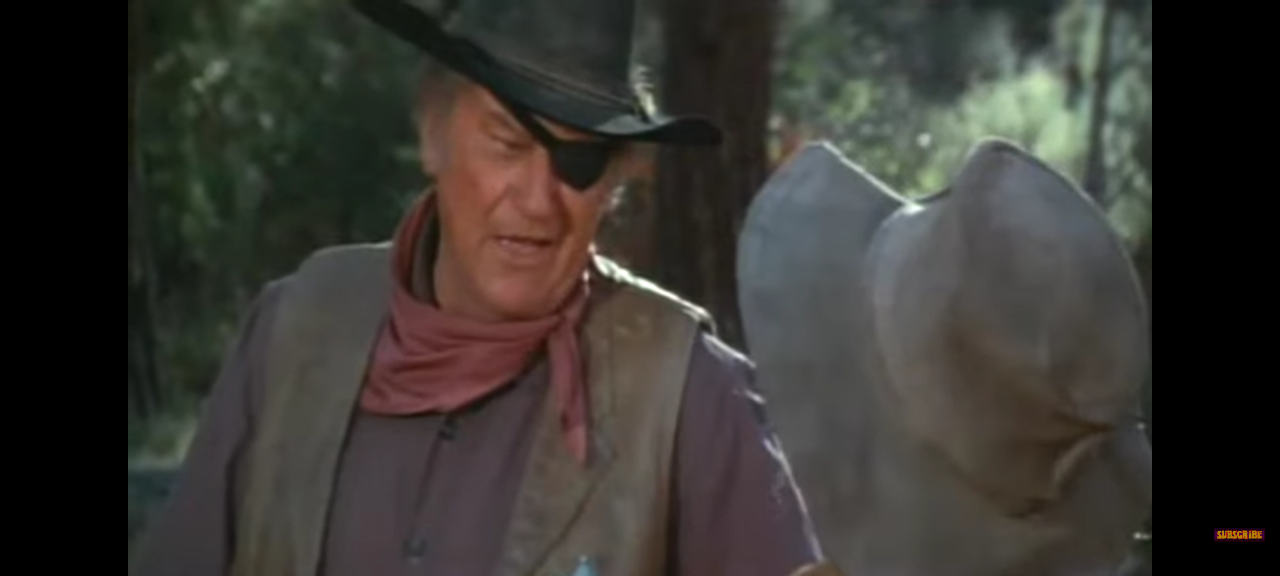 dvd starring john wayne the quiet man rooster cogburn