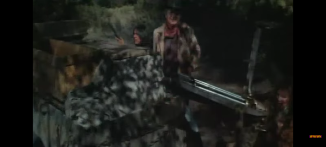 dvd starring john wayne the quiet man rooster cogburn