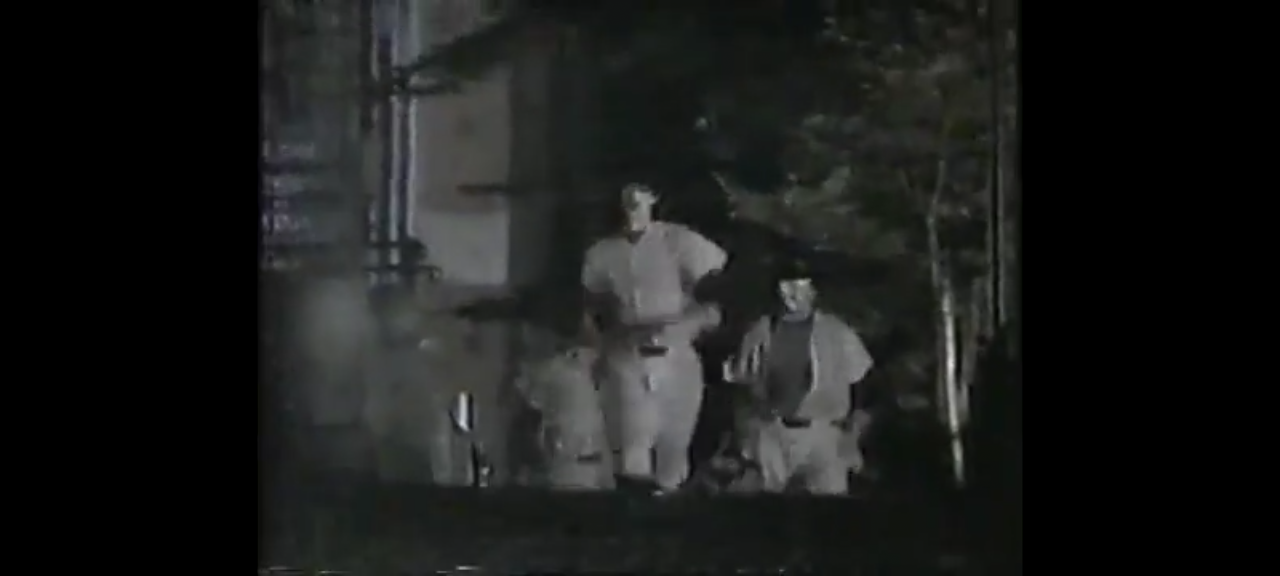 DVD steel warriors le justicier du futur