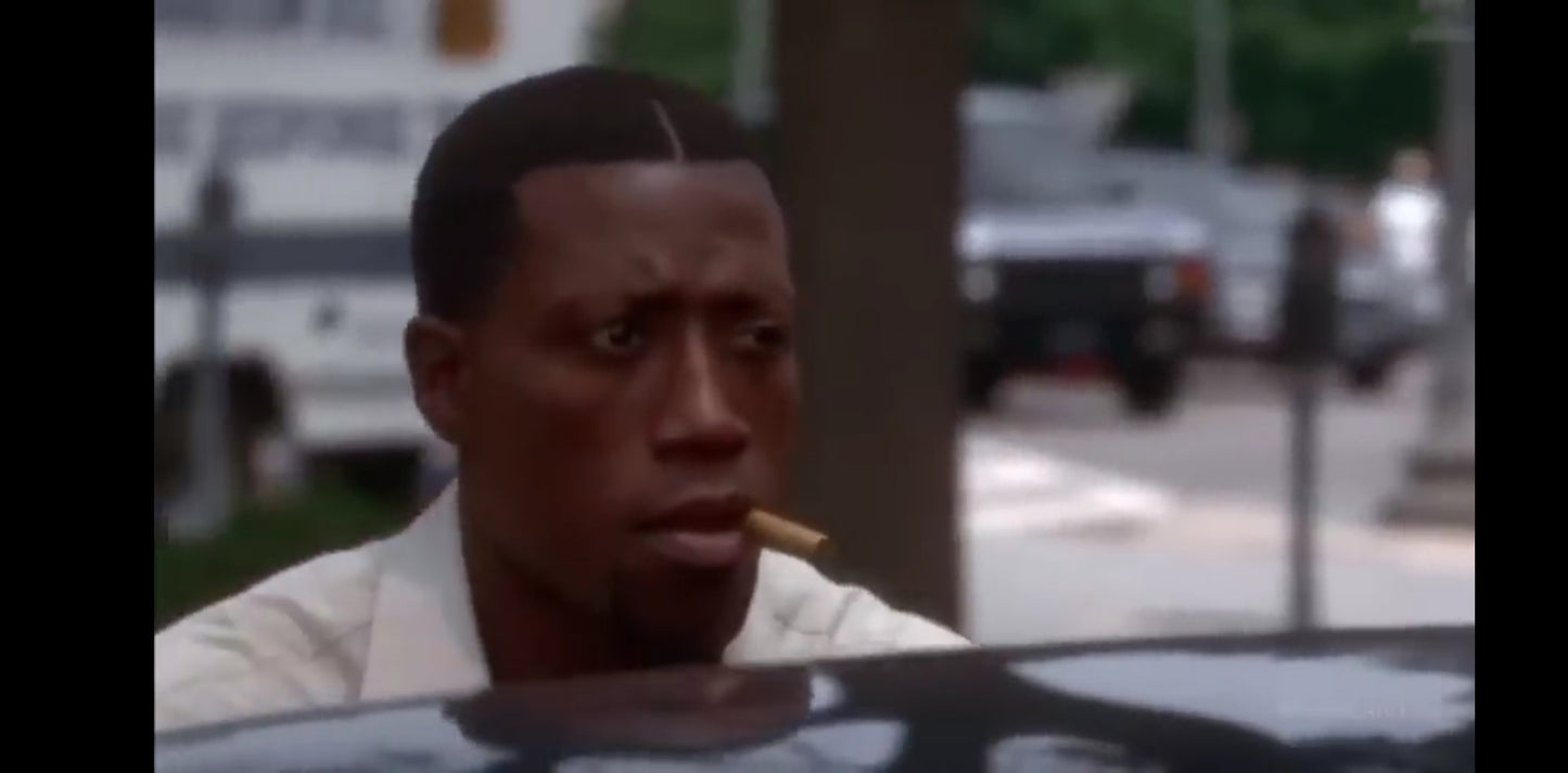 DVD meurtre à la maison blanche