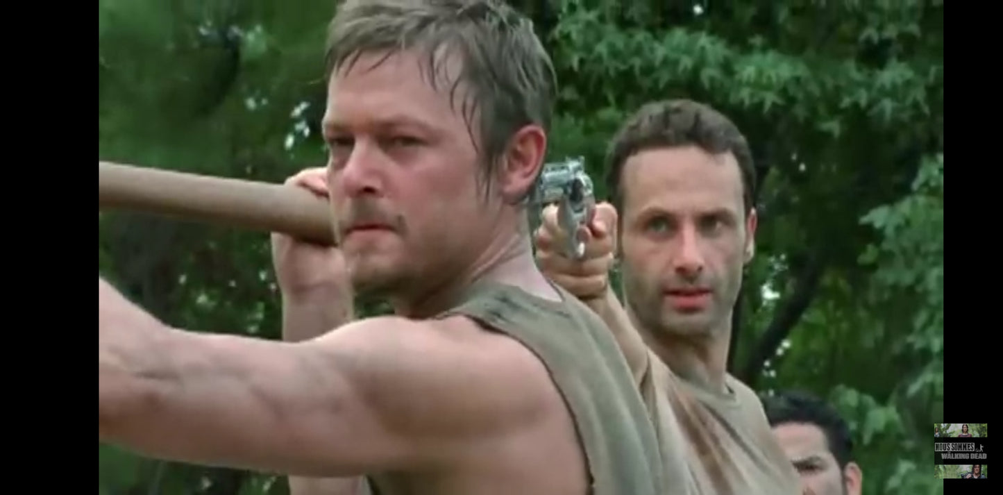 DVD the walking dead L'intégrale de la saison 1