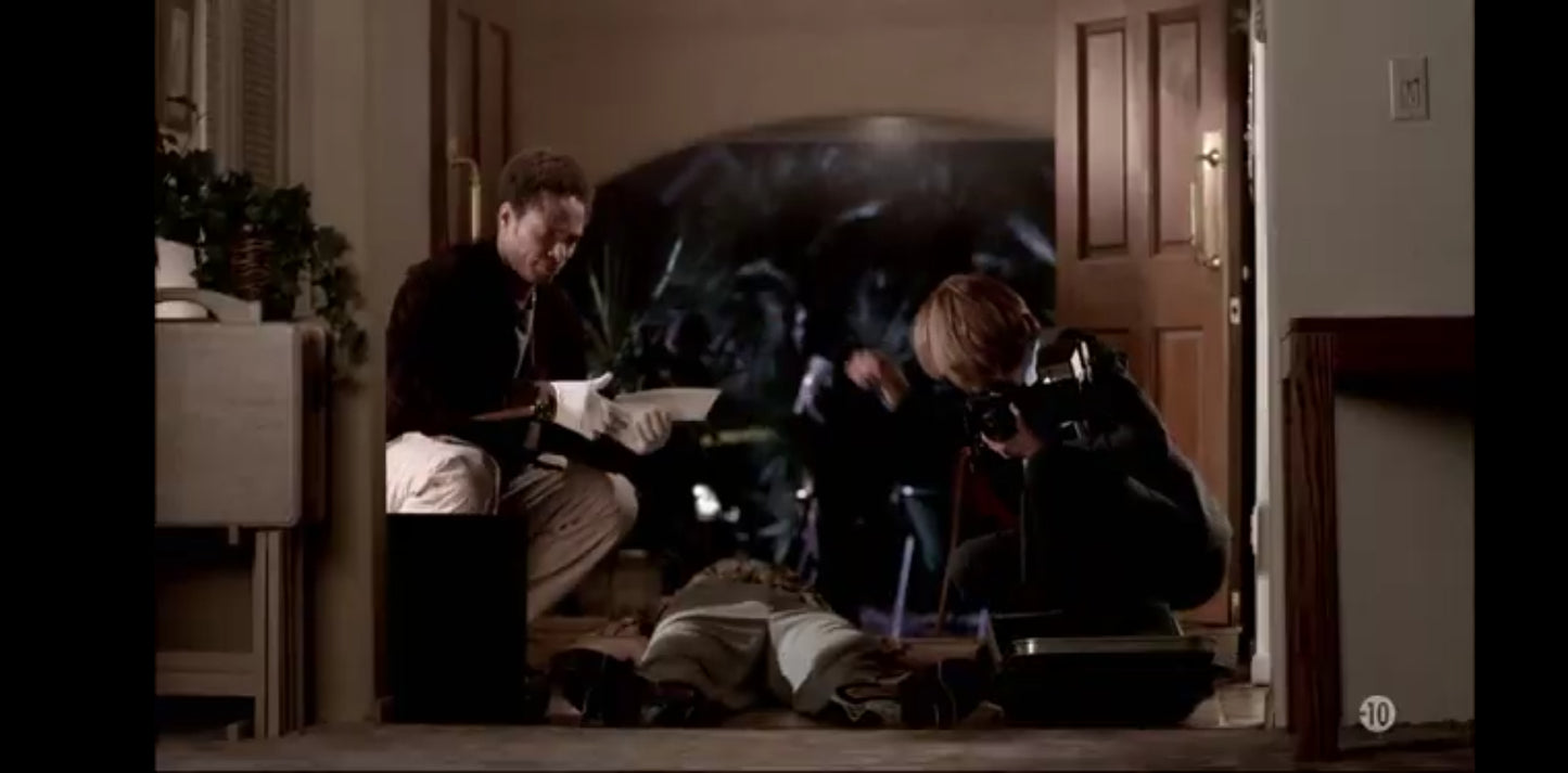 DVD les experts saison 1