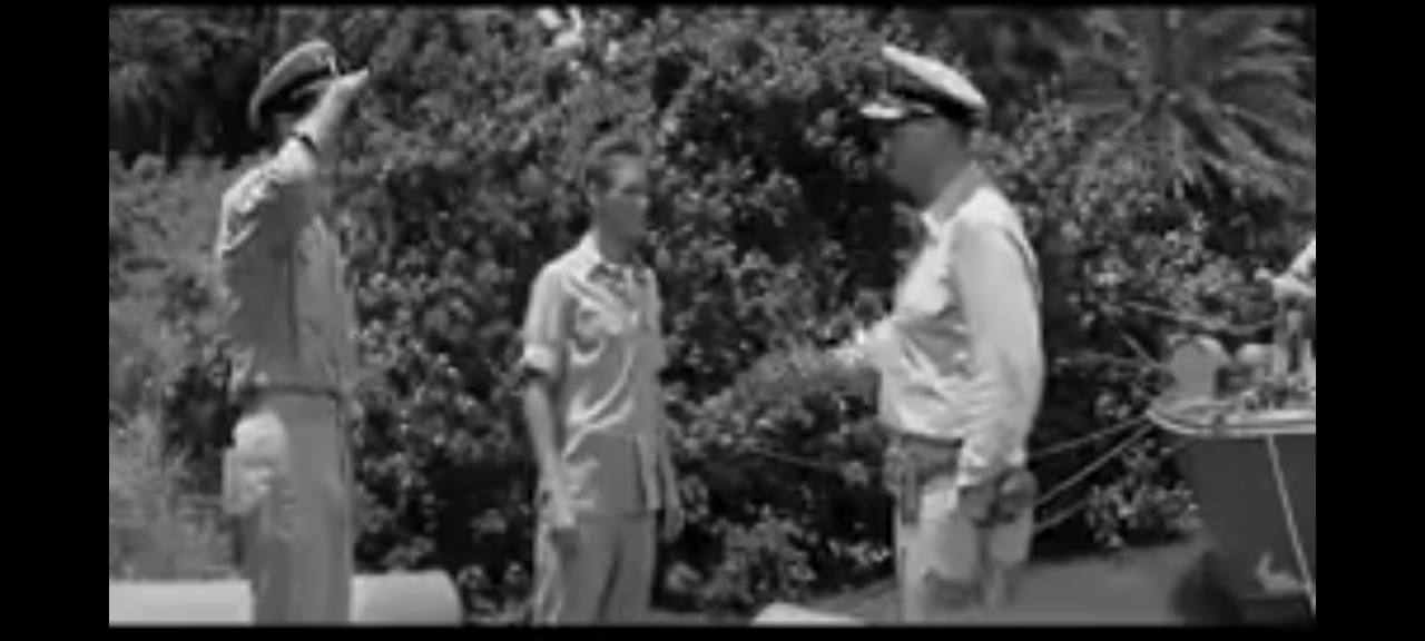 dvd john wayne in harm's way