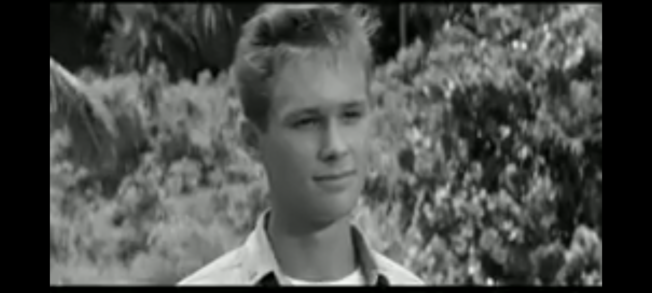 dvd john wayne in harm's way