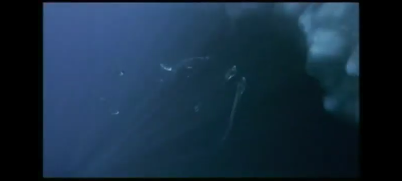 DVD la planète bleue