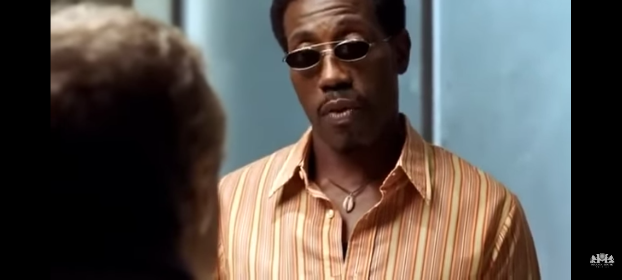 dvd wesley snipes the denator