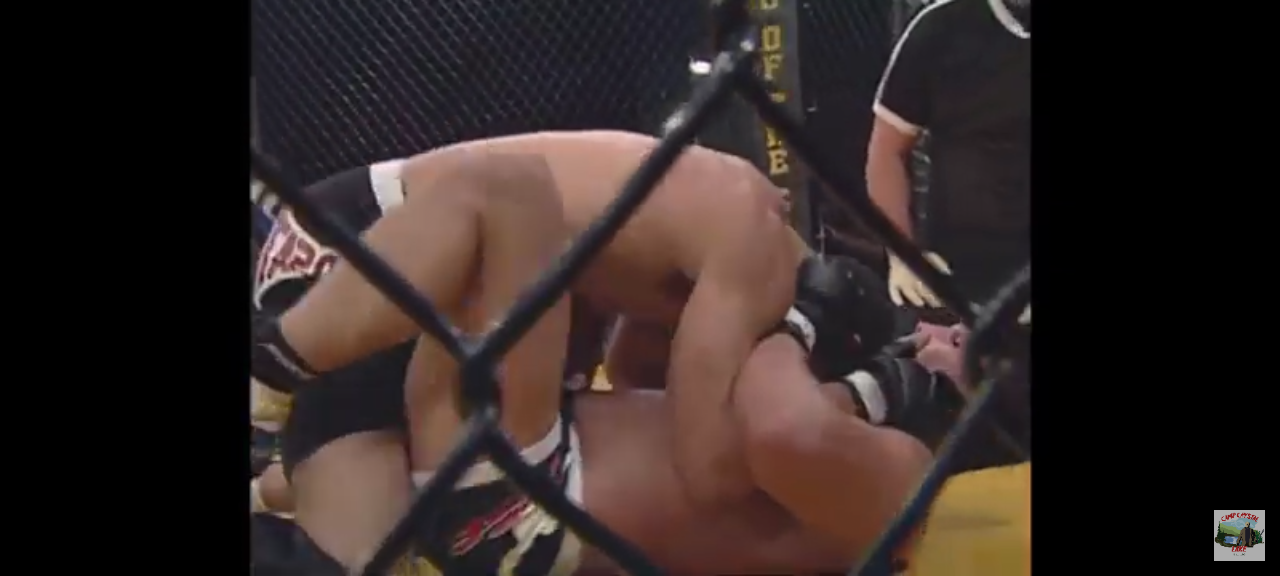 DVD king of he cage révolution