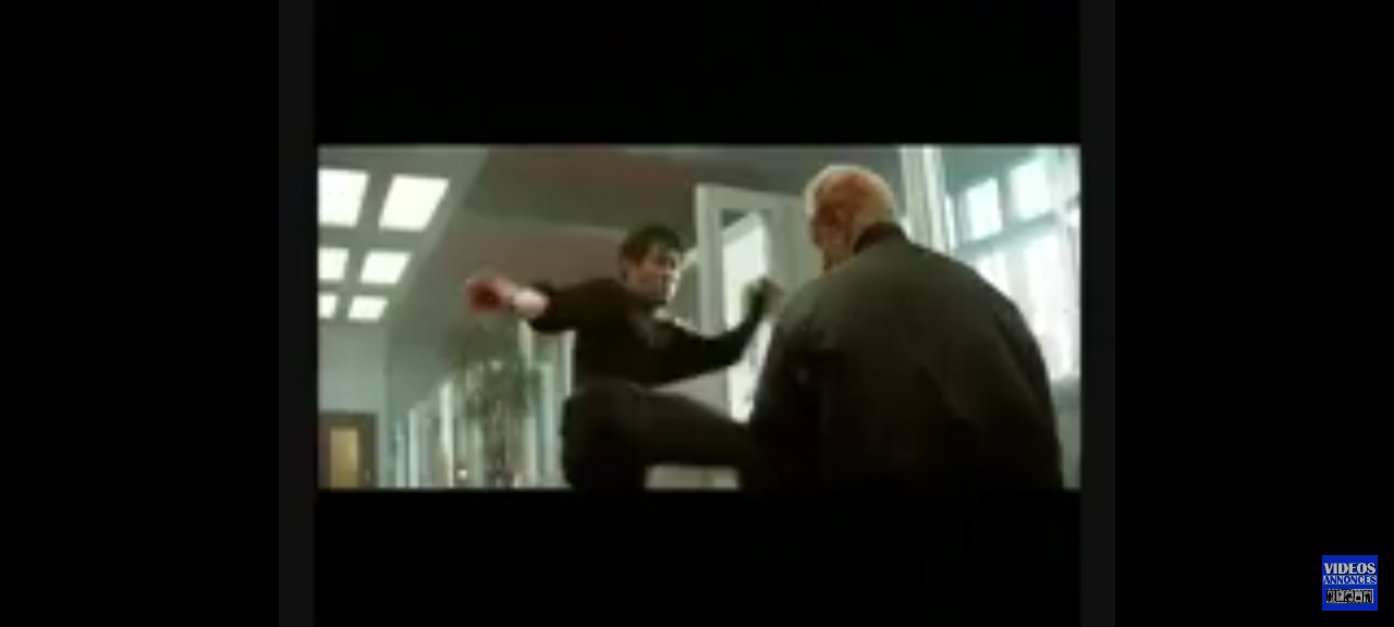 dvd jetli le baiser mortel du dragon