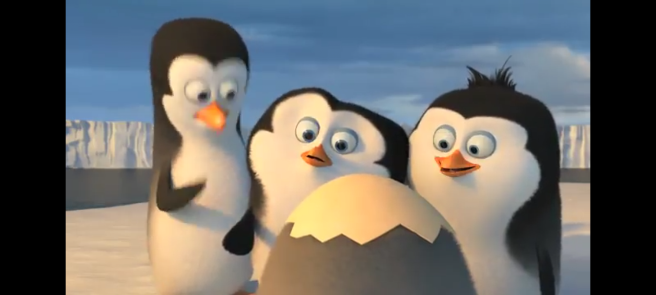 dvd les pingouins de madagascar