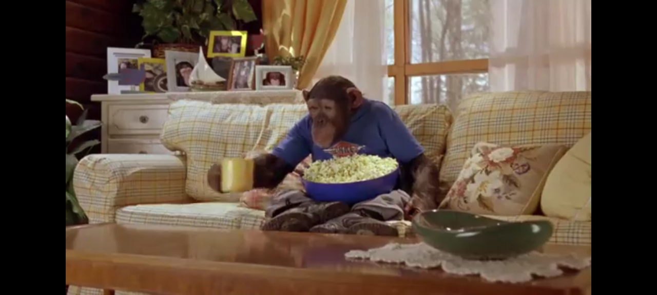 dvd le roi du skate jack the champion