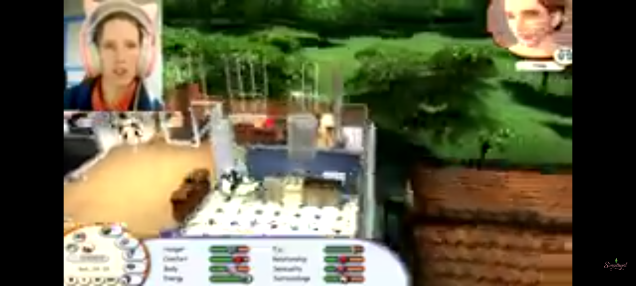 Jeu vidéo PC : Singles jouez sans tabous