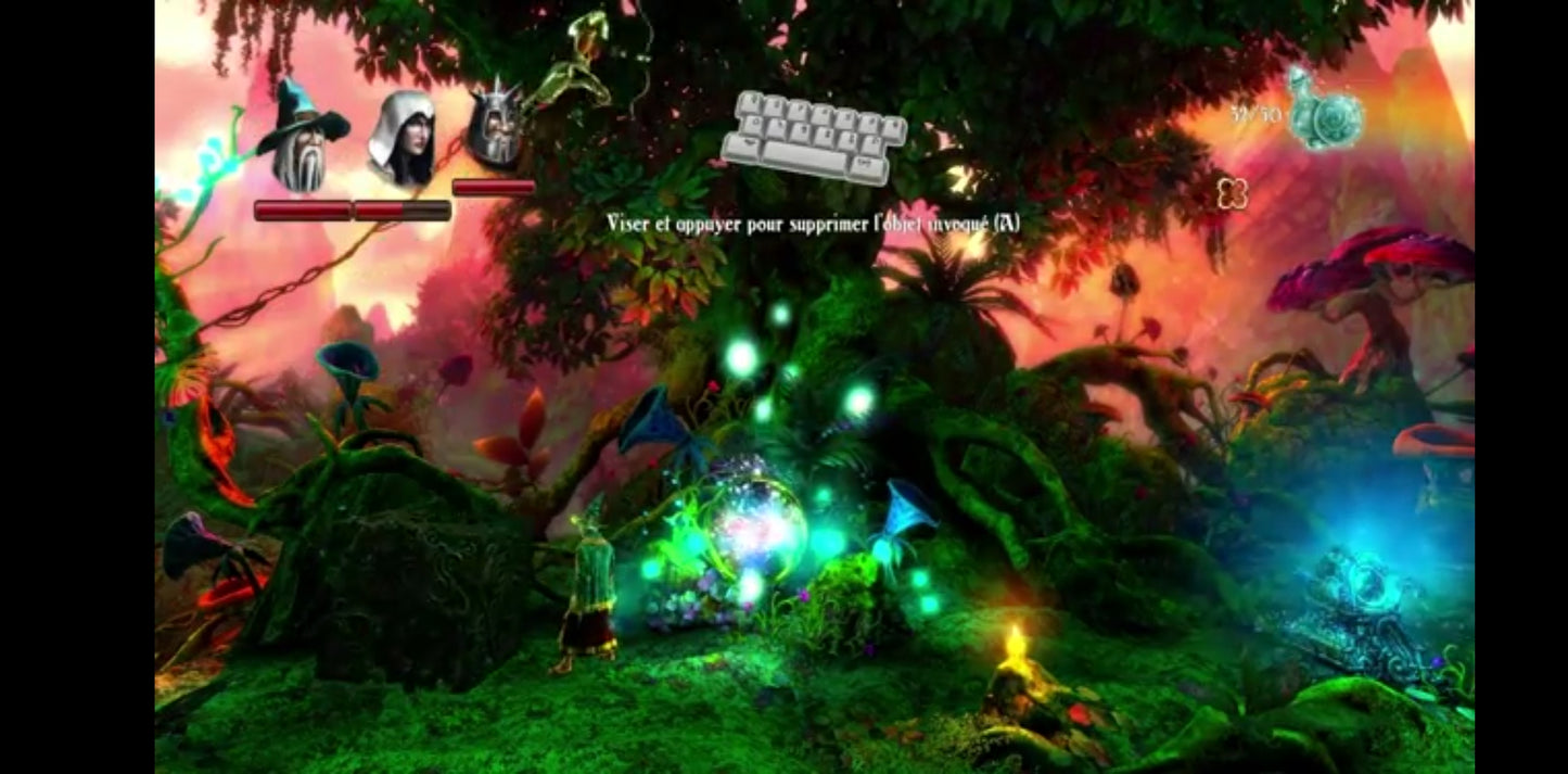 Jeu vidéo PC : trine 2
