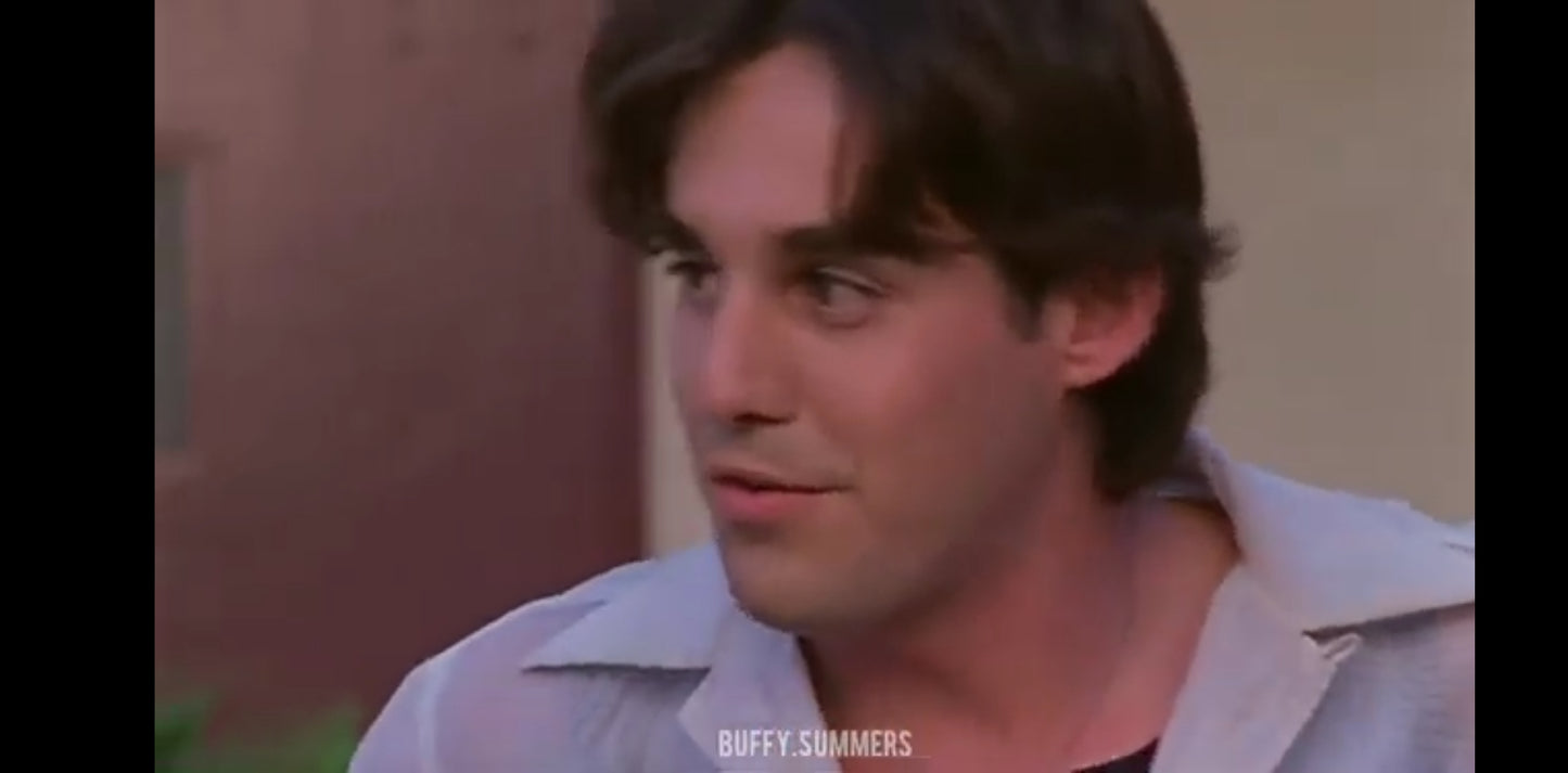 DVD l'intégrale Buffy contre les vampires saison 1 Épisodes 1, 2,3,et 4