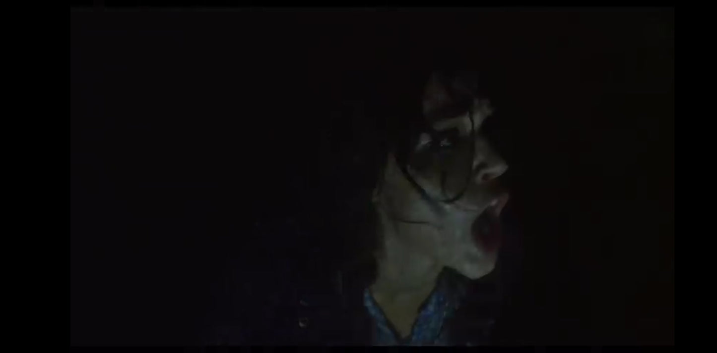 DVD the blair witch project