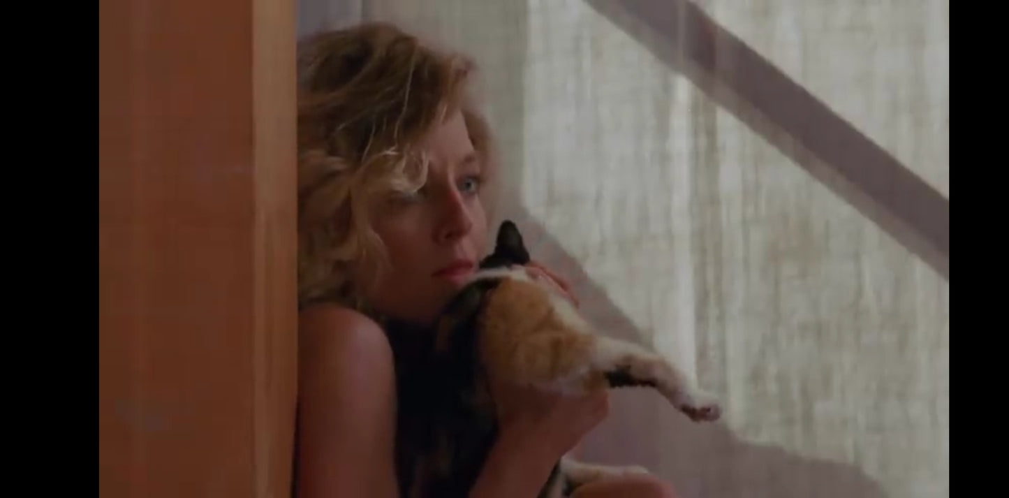 DVD : 🎬 Le Silence des Agneaux – Édition Collector DVD – Film Thriller Policier – Version Française + – Anthony Hopkins, Jodie Foster – Zone 2