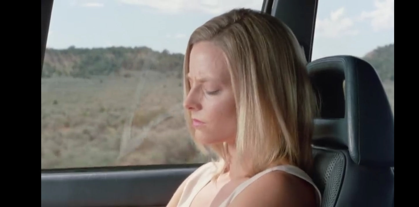 DVD : 🎬 Le Silence des Agneaux – Édition Collector DVD – Film Thriller Policier – Version Française + – Anthony Hopkins, Jodie Foster – Zone 2