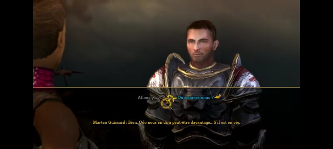 jeu pc dungeon siege III vendu en bon etat par blaspo